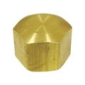 Anderson Metals Compression Cap Brass 1/4 730081-04